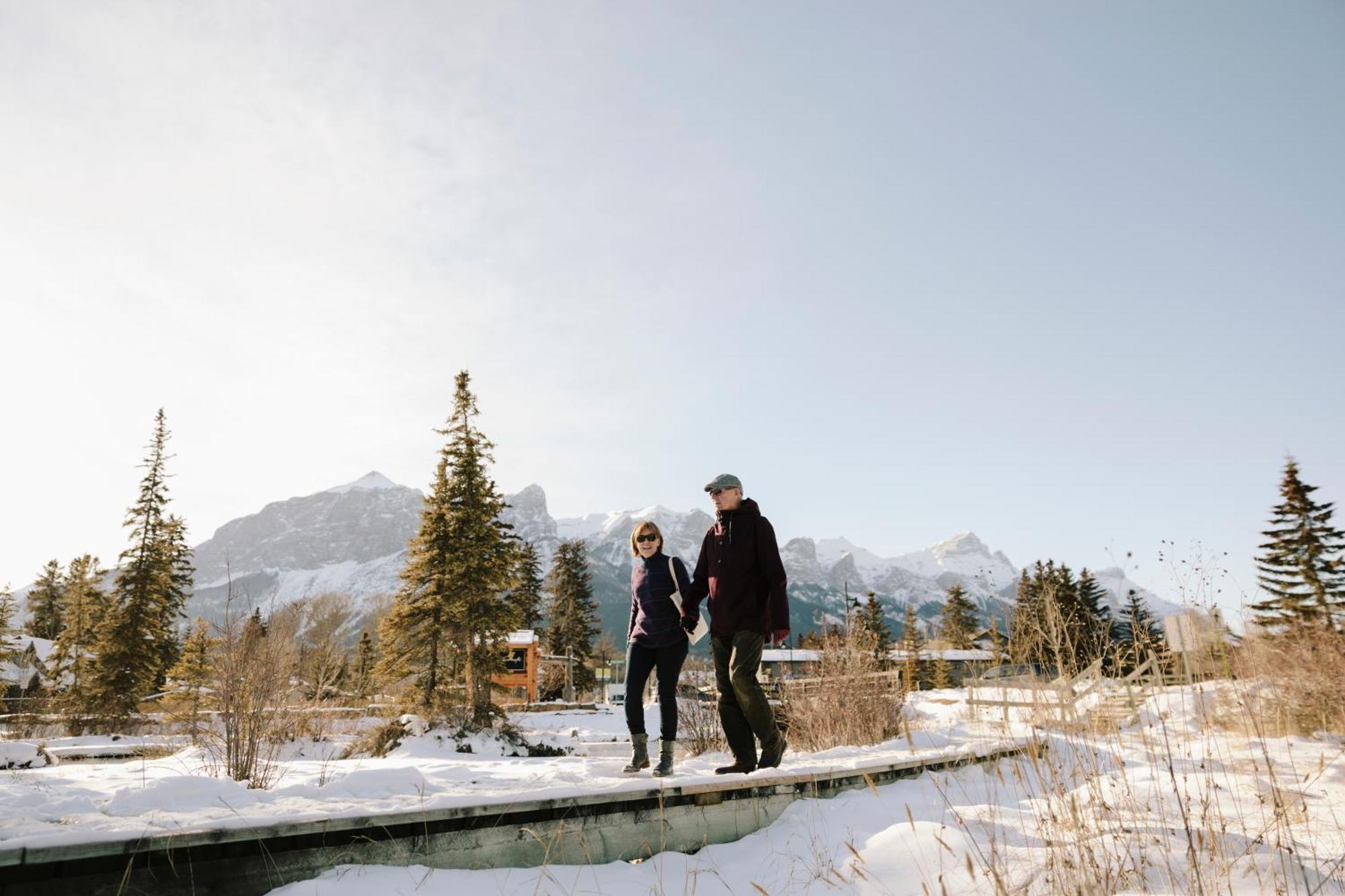 Inn A Bear And Bison Country Canmore