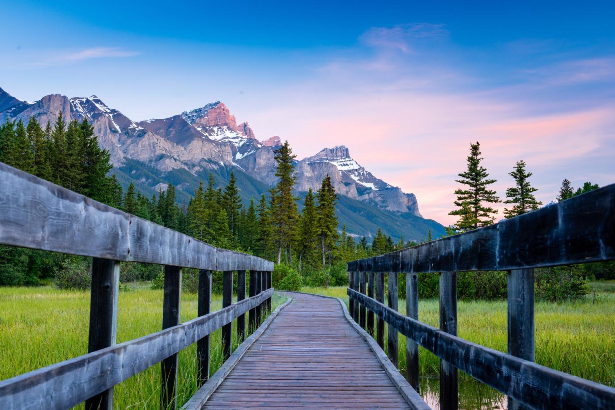 A Bear And Bison Country Inn Canmore