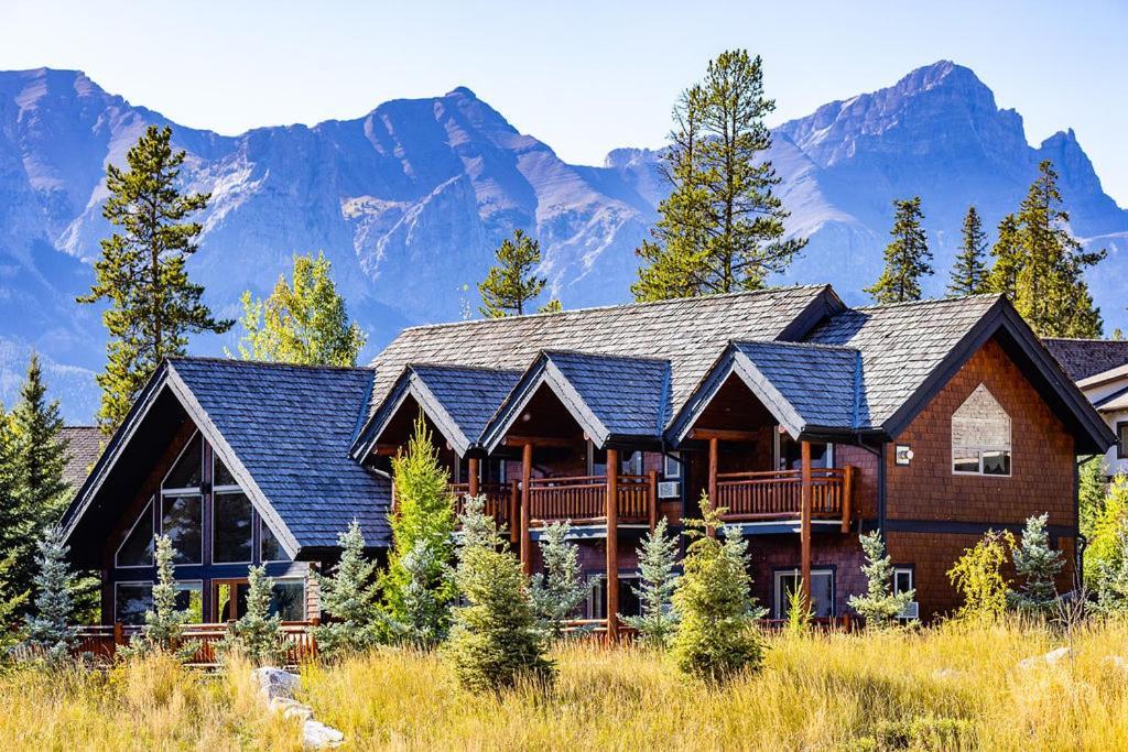 Inn A Bear And Bison Country