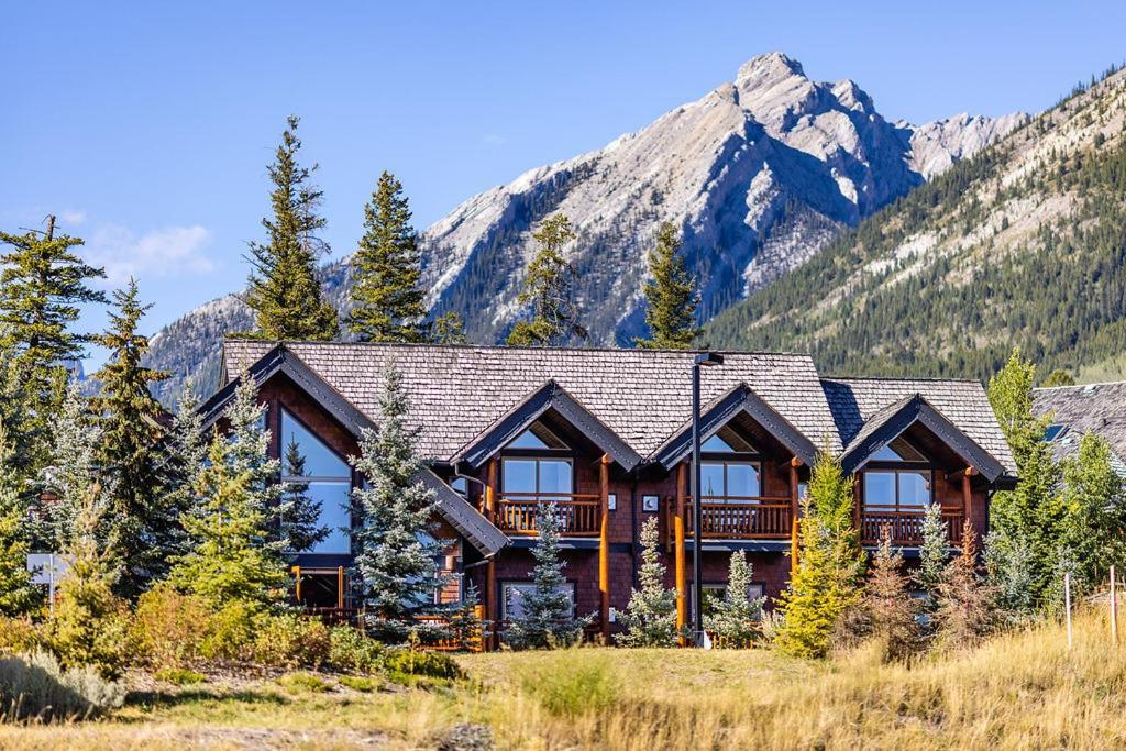 A Bear And Bison Country